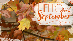 September